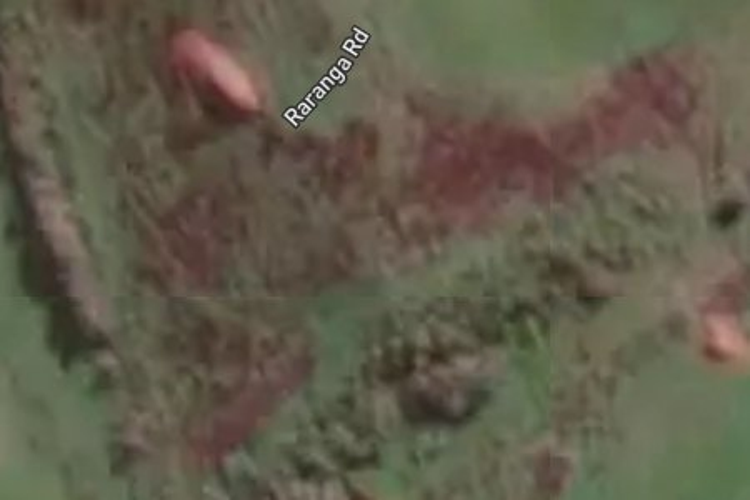 43 Raranga Road_0