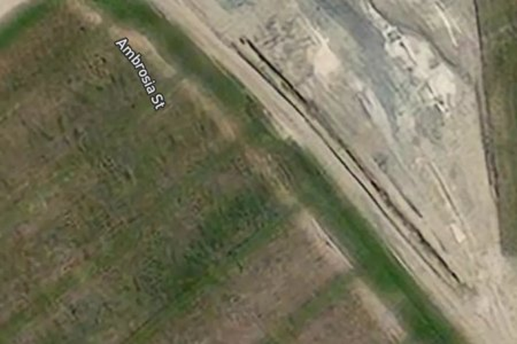 17 Ambrosia Street_0