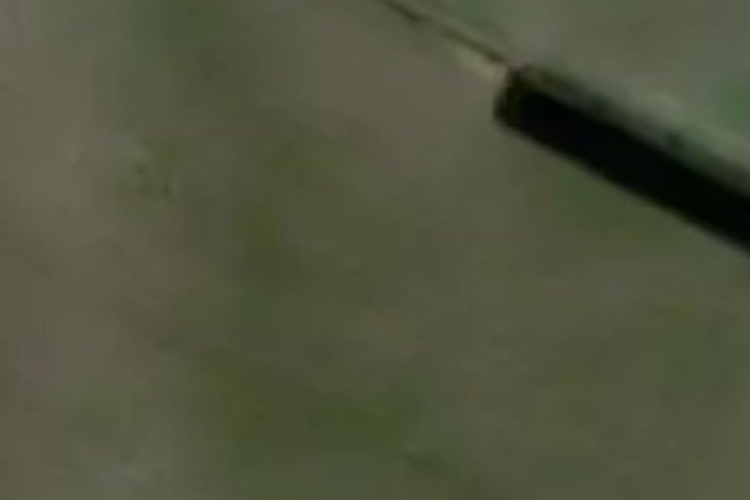 68 Melhopt Way_0