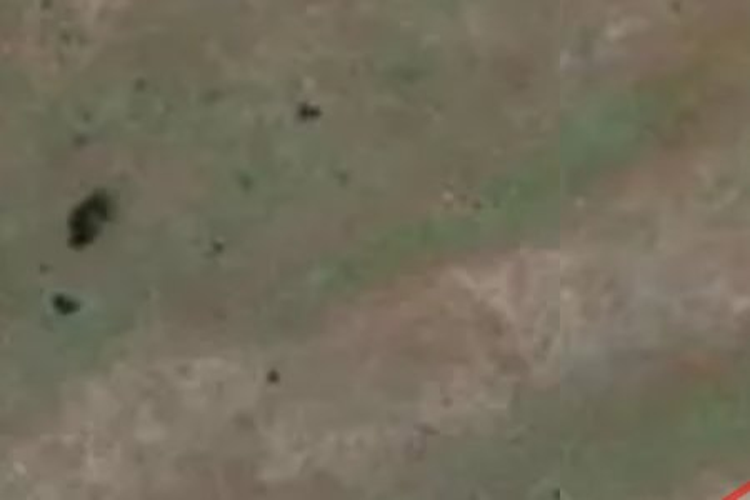 892 Manuka Terrace_0