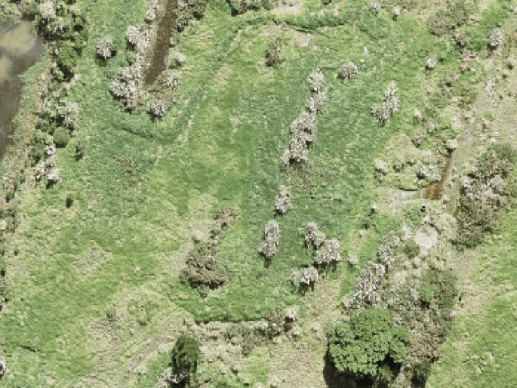 13 Whakairo Crescent_0