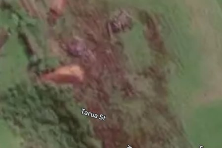 13 Turau Street_0