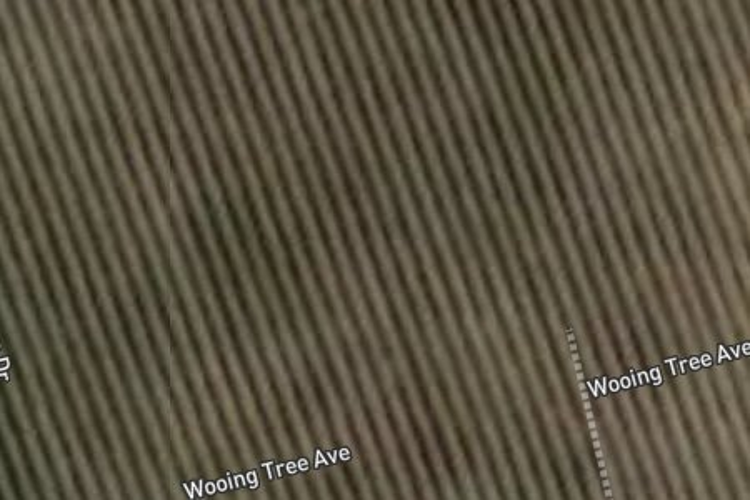 8 Wooing Tree Avenue_0