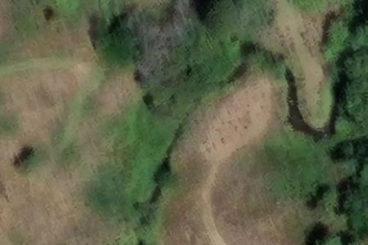 664 Kaitemako Road_0