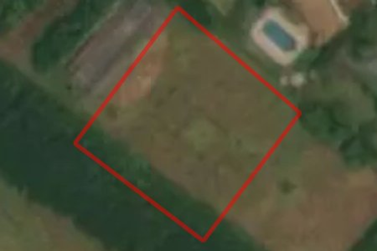 1177 Pipiwai Road_0