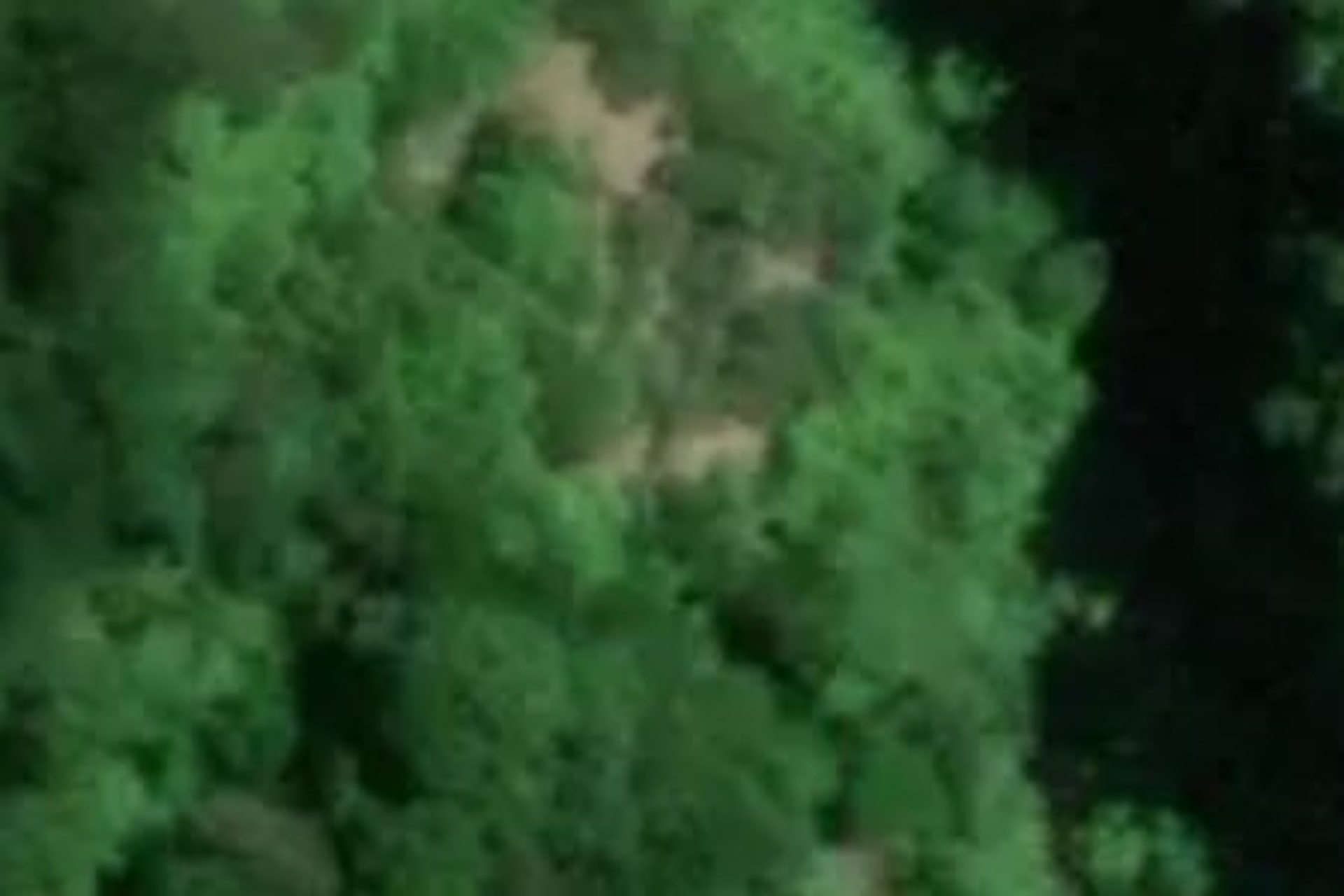 2206 Okau Road Ahititi Houses for Sale One Roof