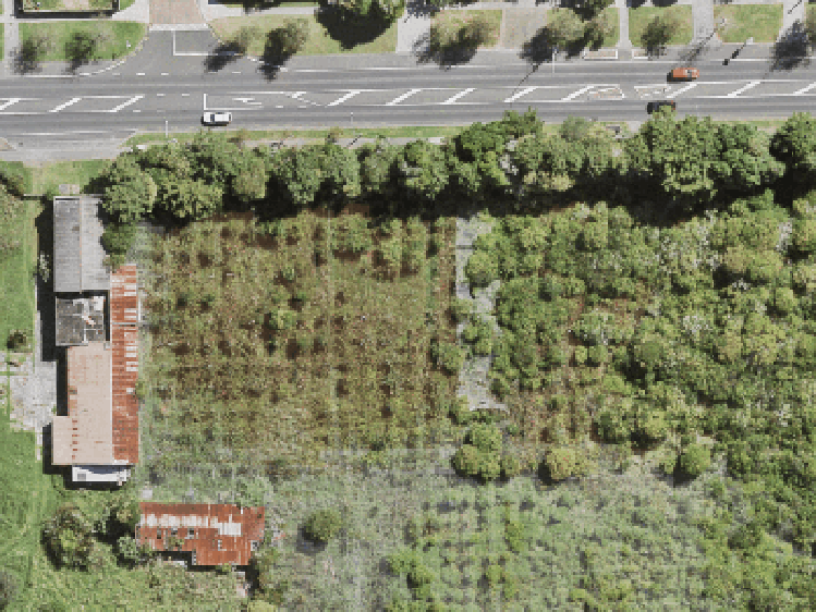 2/664 Swanson Road_0