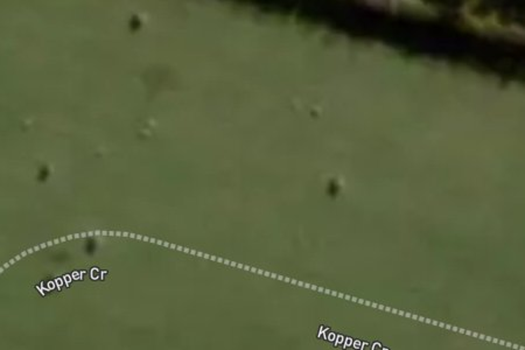 42 Kopper Crescent_0