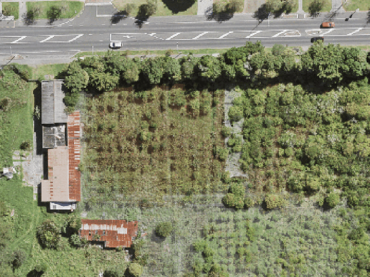 7/668 Swanson Road_0