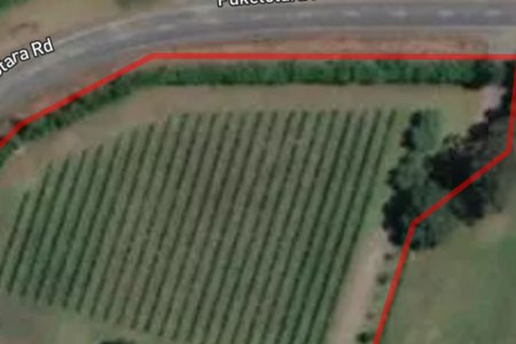 177 Puketotara Road_0
