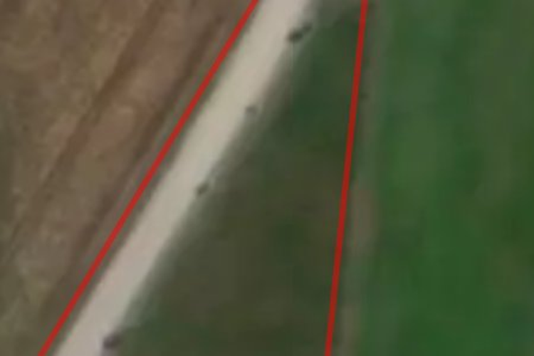 239 Springfield Road West_0