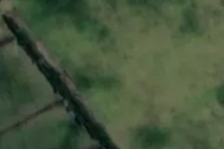 4037 State Highway 1_0