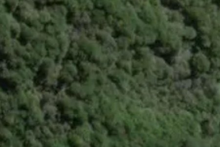 Parapara Valley Road_0