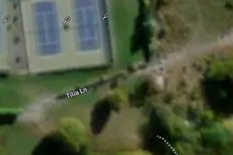 2/1 Tilia Lane_0
