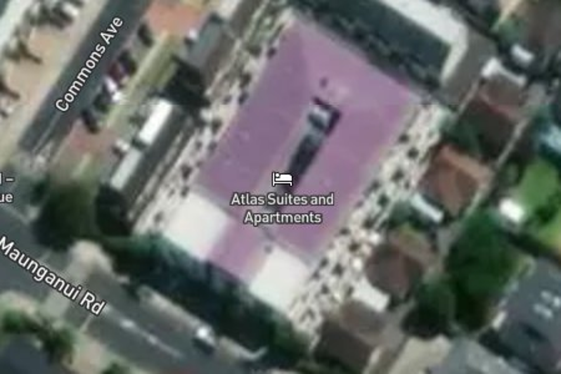 204/49 Maunganui Road Mt Maunganui_0