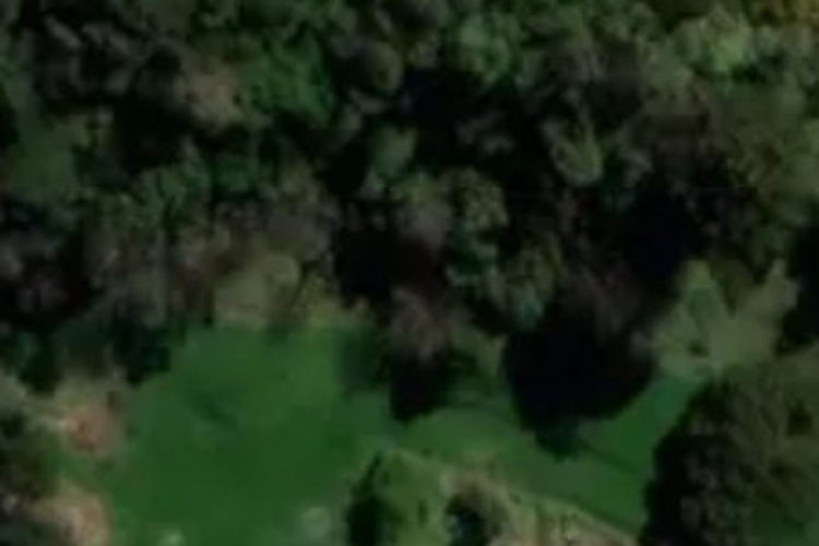 531 Le Bons Bay Road_0