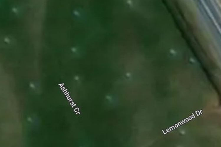 83 Ashurst Crescent_0