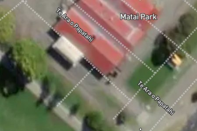 11 Te Ara O Papatahi_0
