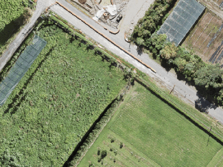 2 Silver Fern Avenue_0
