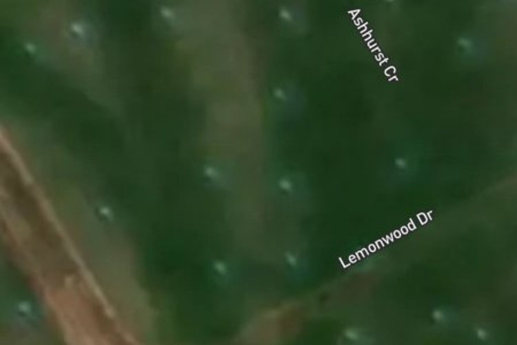 191 Lemonwood Drive_0