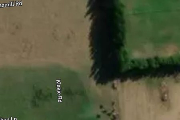36 Kiekie Road_0