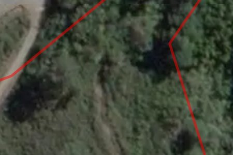 7 Fairdown Road_0