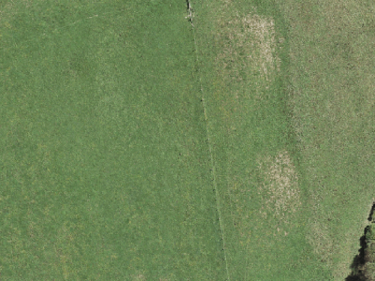 92 Shepherds Bush Road_0