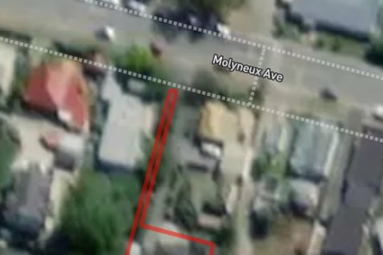 20c Molyneux Avenue_0