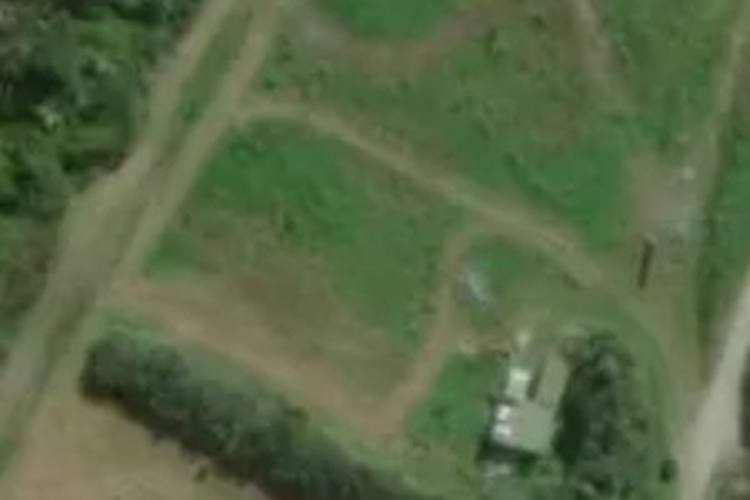 672c Shwy 67 Nikau_0