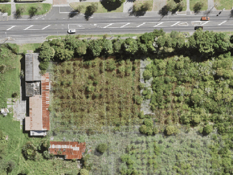 6/668 Swanson Road_0