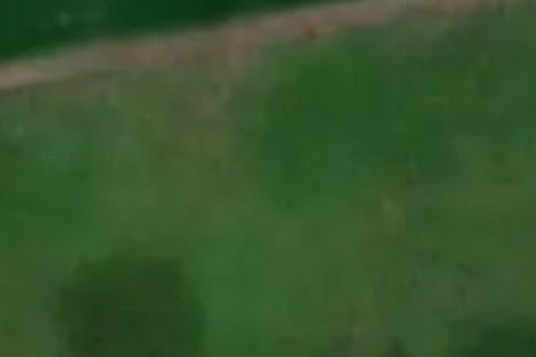 14 Mcgrath Lane_0