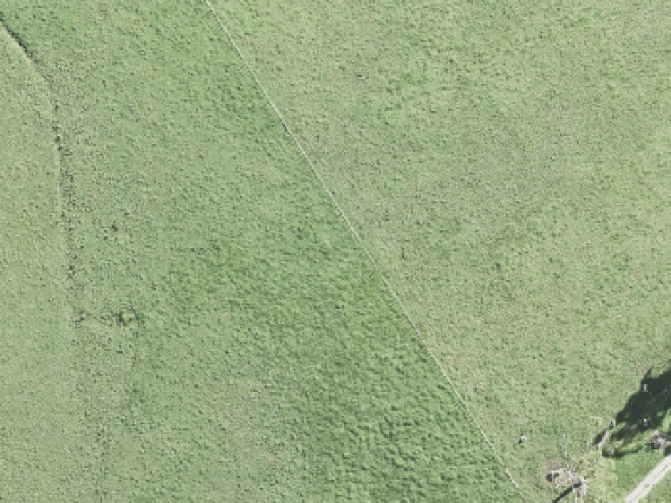 29 Parkland Loop_0