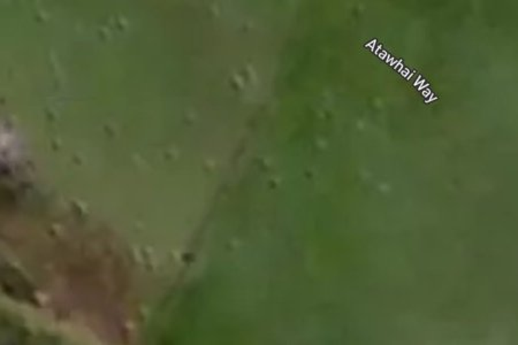 93 Atawhai Lane_0