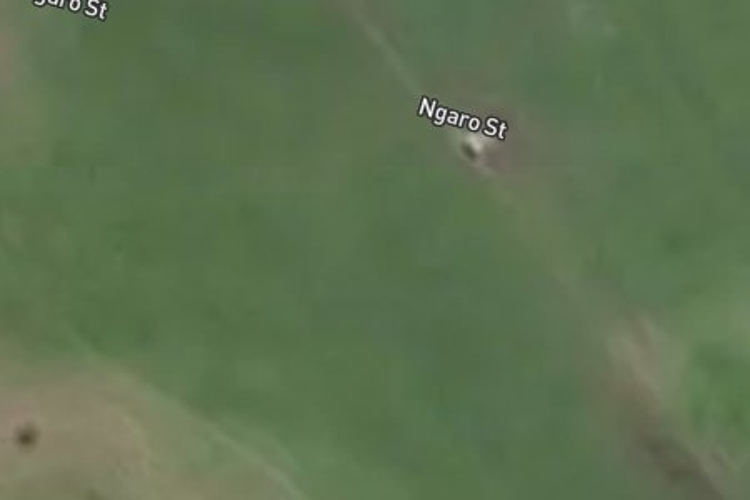 14 Ngaro Street_0