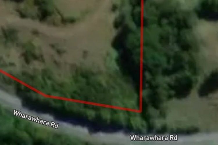 466 Wharawhara Road_0