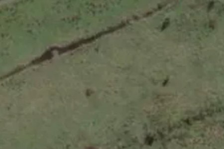 Maori Creek Road_0