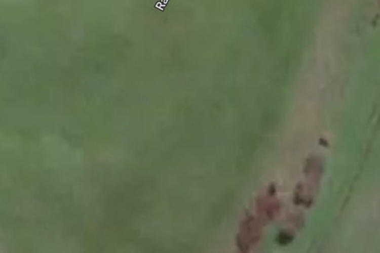 31 Raranga Road_0