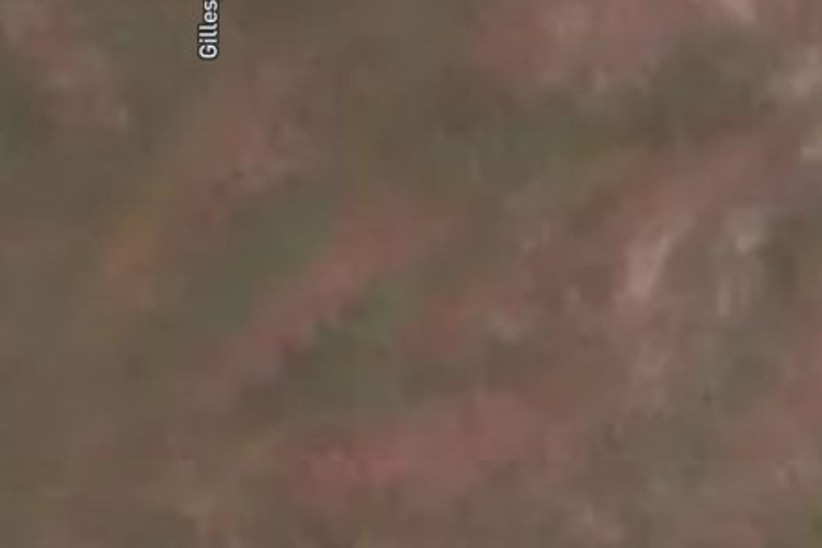 51 Gillespie Street_0