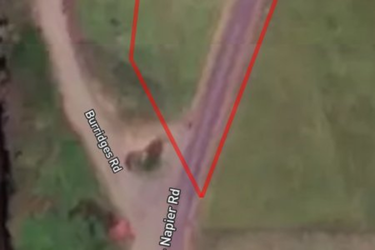 169 Taihape-Napier Road_0