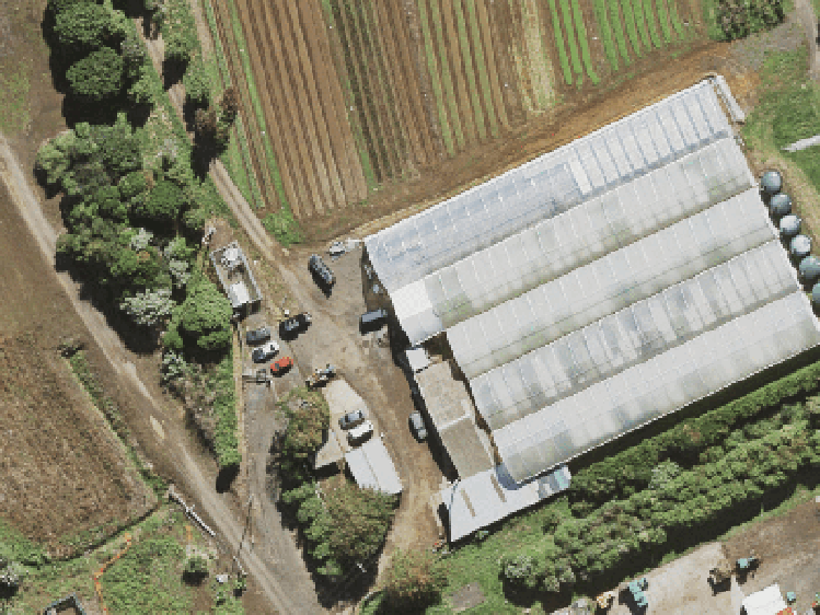 11 Campana Road_0