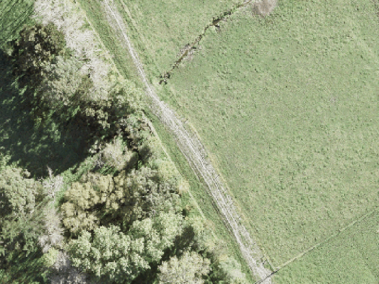 Wainui_0