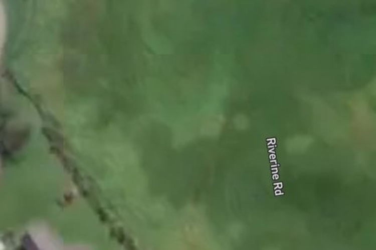 73 Riverine Road_0