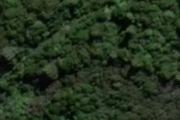 South Highway 73 Kumara Shwy_0