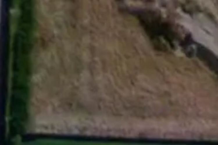 95 Waikirikiri Avenue_0