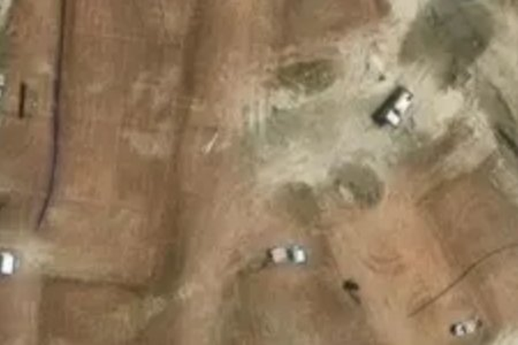 3 Branch Burn Close_0