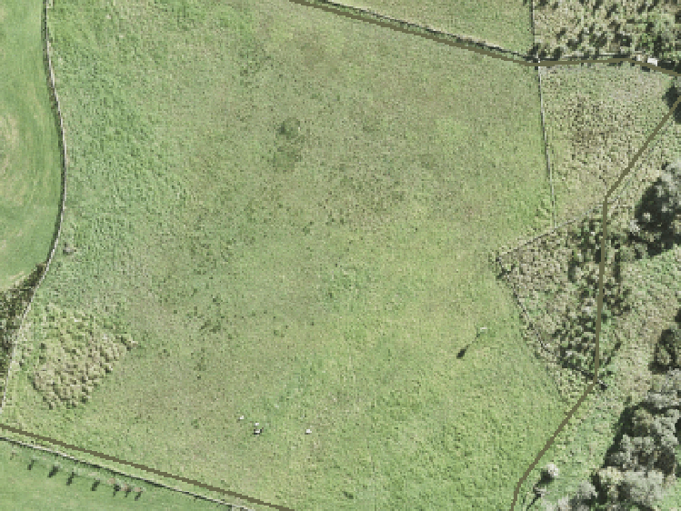 42a Lennon Access Road_0