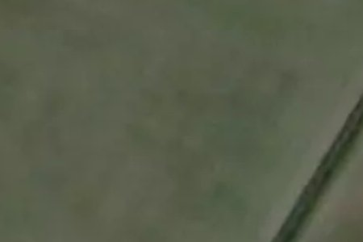 70 Melhopt Way_0