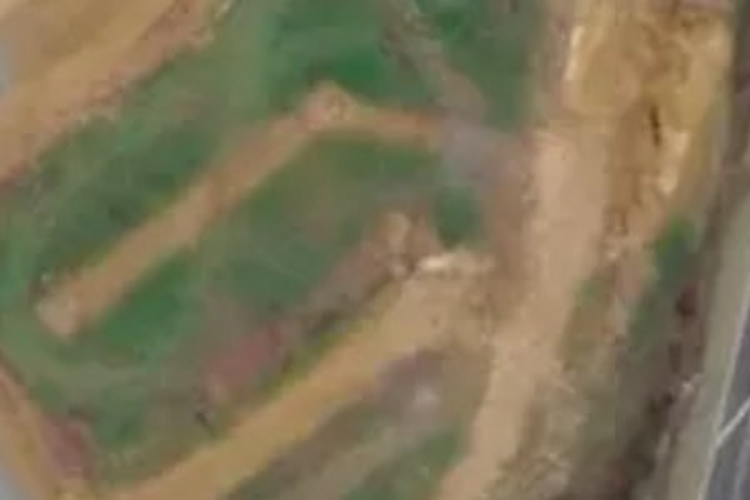 5 Tupeia Lane (Pvt)_0