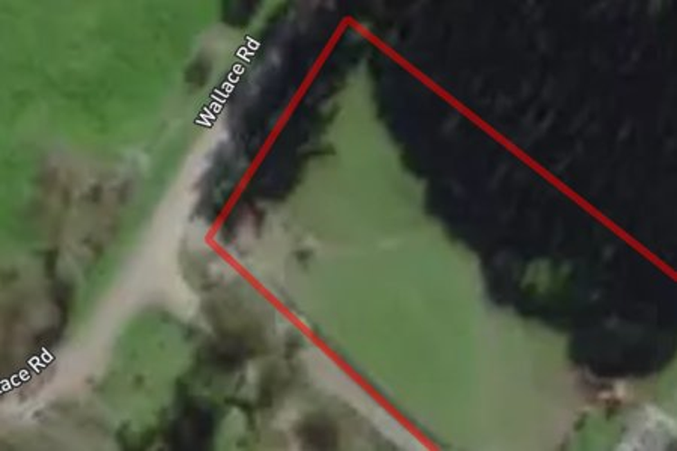241 Wallace Road_0