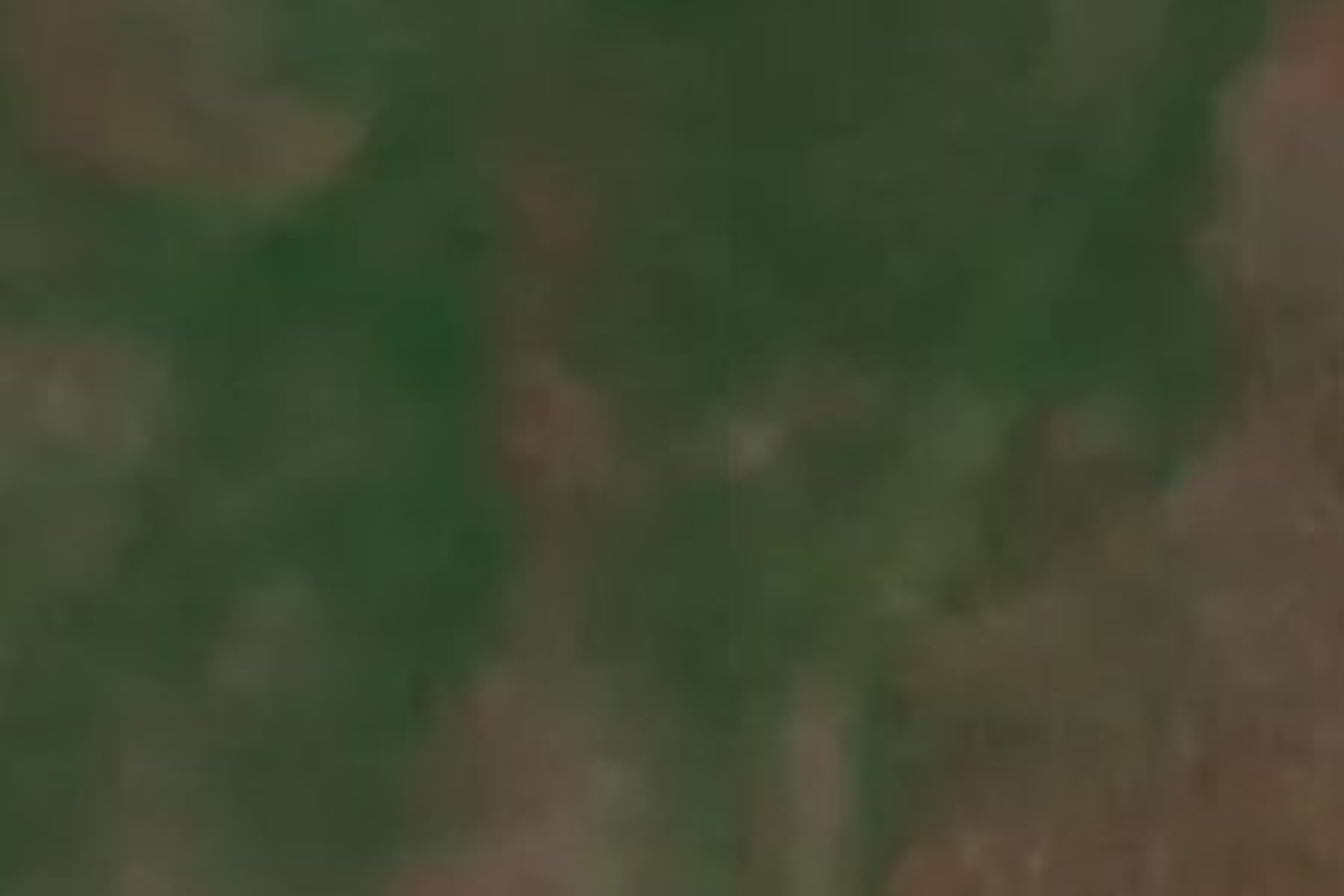 144 Knight Road Patutahi Gisborne District Houses for Sale One Roof